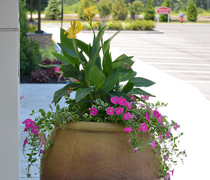 MS PACKAING DISTRIBUTION FACILITY